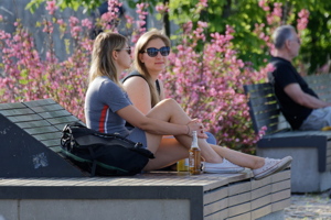 Two women relaxing on a wooden bench surrounded by blooming pink bushes